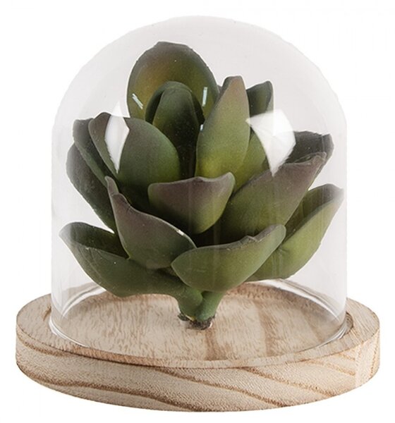 Prírodný drevený podnos so skleneným poklopom - Ø 13*11 cm - Clayre & Eef