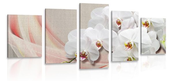 5-dielny obraz biela orchidea na plátne