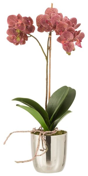 Dekorácia umelá kvetina Orchidea s kvetináčom - 23*23*50 cm - J-Line by Jolipa