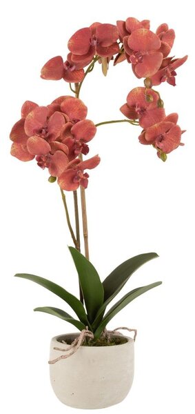 Dekorácia umelá kvetina Orchidea s kvetináčom - 32*32*57 cm - J-Line by Jolipa