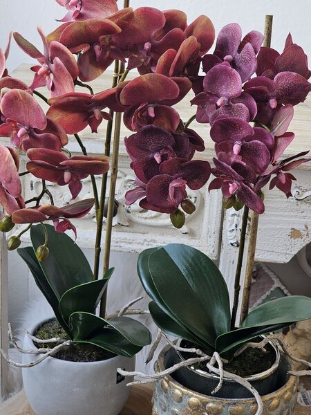 Dekorácia umelá kvetina Orchidea s kvetináčom - 32*32*57 cm - J-Line by Jolipa