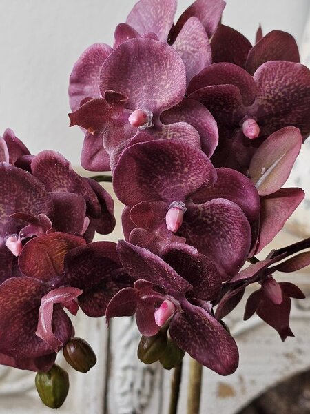 Dekorácia umelá kvetina Orchidea s kvetináčom - 23*23*50 cm - J-Line by Jolipa