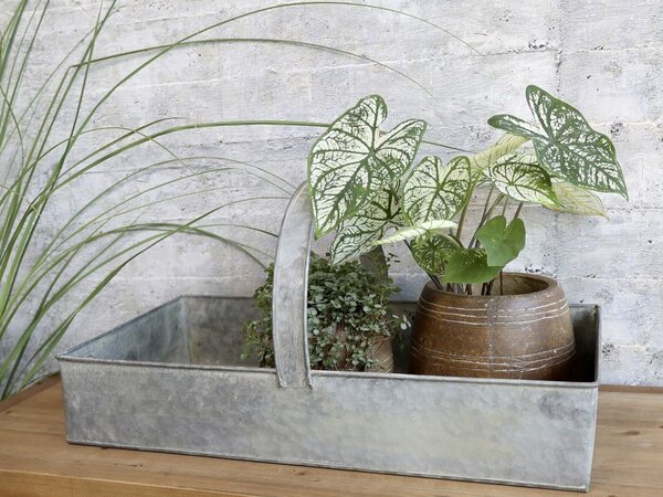 Dekoračný plechový zinkový antik box podnos s rukoväťou - 54*32*10 cm - Chic Antique