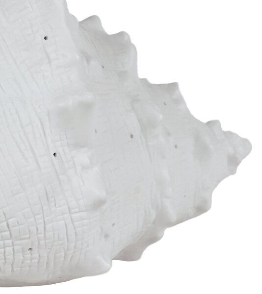 ONLI - Stolná lampa PORCELLANA 1xE14/6W/230V 29 cm mušľa