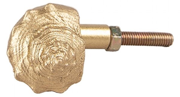Zlatá úchytka v tvare mušle - 5*3*3 cm / S2 cm - Clayre & Eef