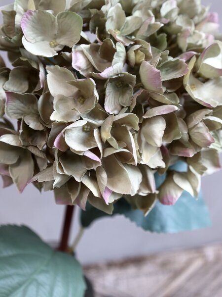 Dekorácia umelá zelená kvetina Hortenzie Hydrangea dusty green - 80 cm - Chic Antique