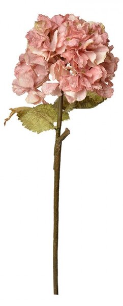 Ružová dekoračná kvetina hortenzie Hydrangea - 10*10*55 cm - Clayre & Eef