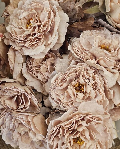 Artificial Flower Rose 48 Cm Pink Plastic - 10*10*48 cm - Clayre & Eef