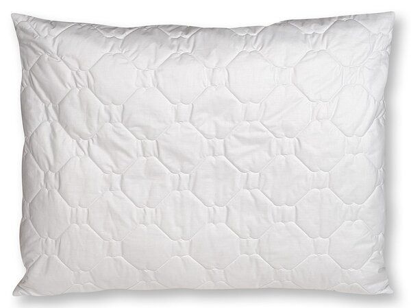 2G Lipov Vankúš Clivie+ 95°C vyvárací - 50x60 cm
