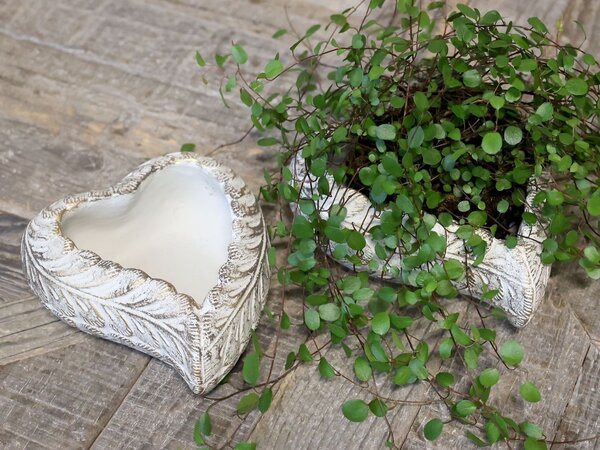 Bielo - zlatý antik cementový kvetináč v tvare srdca Vittel L - 20*17*8 cm - Chic Antique