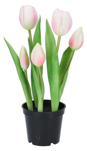 5ks fialový realistický tulipán Tulips v kvetináčiku - 26 cm - daan kromhout