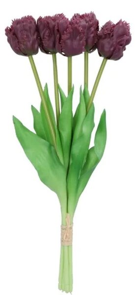 Kytica 5ks fialových realistických tulipánov Tulips Papagayo - 39 cm - daan kromhout