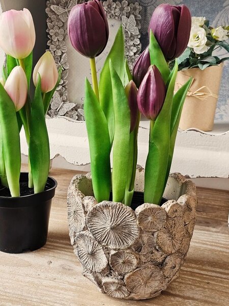 5ks fialový realistický tulipán Tulips v kvetináčiku - 26 cm - daan kromhout