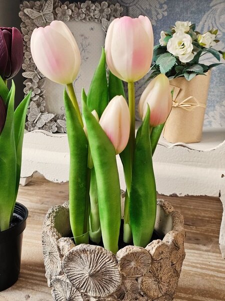 5ks fialový realistický tulipán Tulips v kvetináčiku - 26 cm - daan kromhout