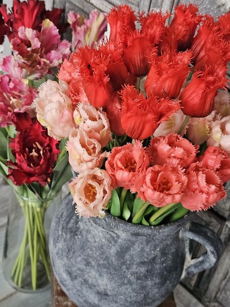 Kytica 7ks tmavo ružových realistických tulipánov Tulips - 31cm - daan kromhout