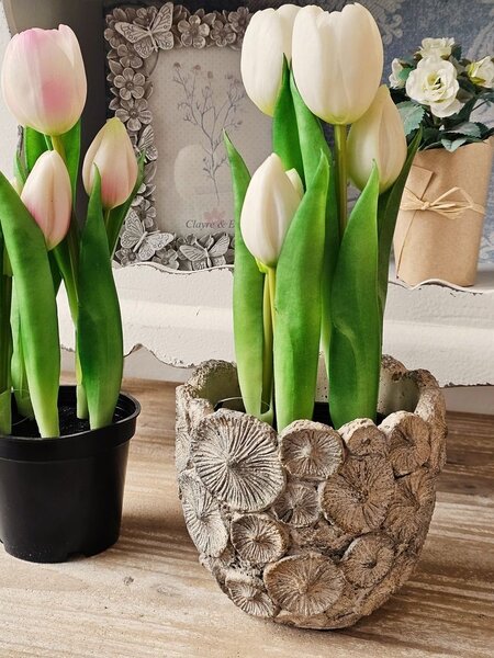 5ks biely realistický tulipán Tulips v kvetináčiku - 26 cm - daan kromhout