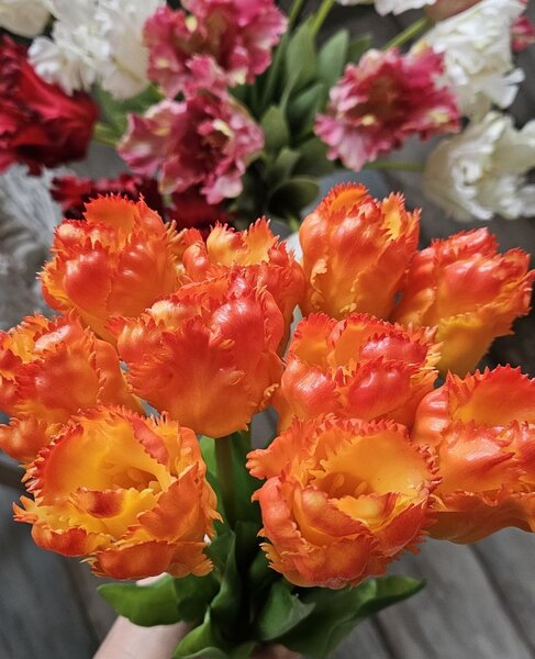 Kytica 5ks oranžových realistických tulipánov Tulips Papagayo - 39 cm - daan kromhout