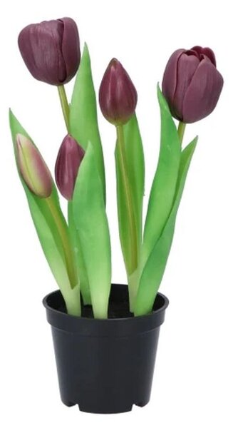 5ks fialový realistický tulipán Tulips v kvetináčiku - 26 cm - daan kromhout