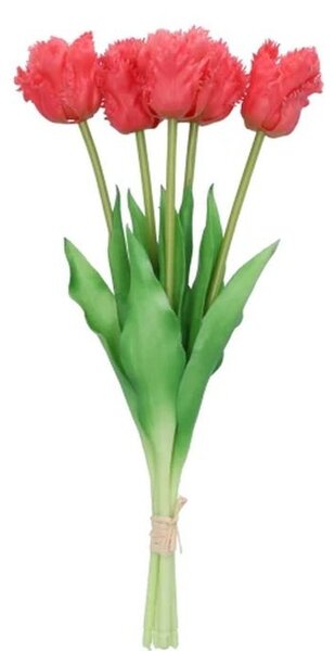 Kytica 5ks ružových realistických tulipánov Tulips Papagayo - 39 cm - daan kromhout