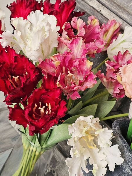 Červený tulipán Silk Tulip Red - 64 cm - daan kromhout
