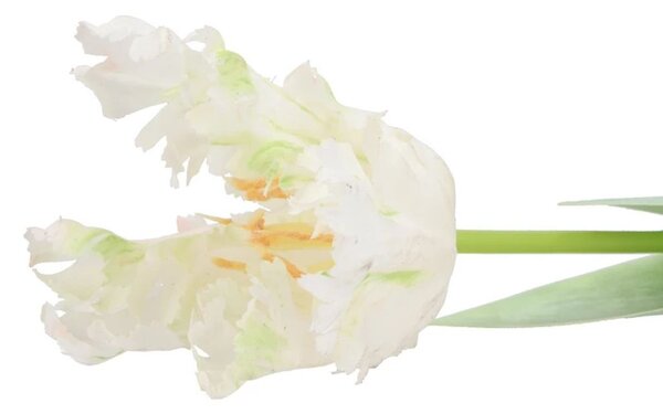 Biely tulipán Silk Tulip White - 64 cm - daan kromhout