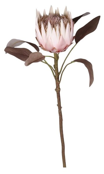 Dekorácia kvetina Protea - 66 cm - Chic Antique