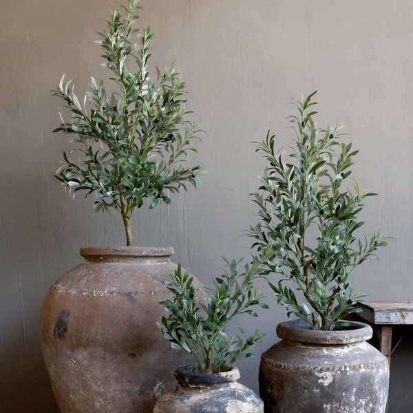 Dekorácia umelý stromček olivovník s olivami Olea Tree - Ø 12*73 cm - Chic Antique