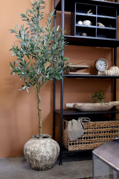 Dekorácia umelý stromček olivovník s olivami Olea Tree - 15*170 cm - Chic Antique