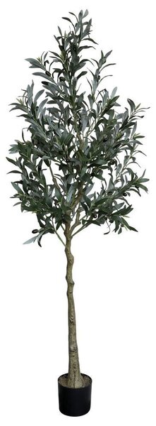 Dekorácia umelý stromček olivovník s olivami Olea Tree - 15*170 cm - Chic Antique