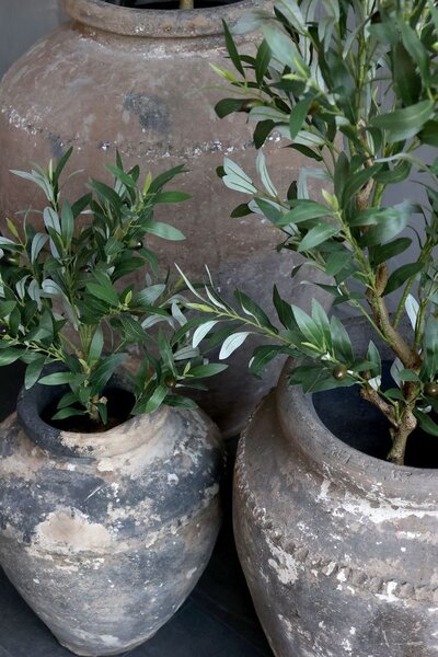 Dekorácia umelý stromček olivovník s olivami Olea Tree - Ø 12*73 cm - Chic Antique