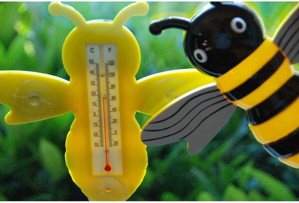 Vonkajší teplomer Bee – Esschert Design