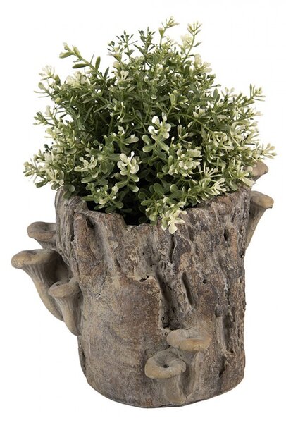 Hnedý cementový kvetináč kmeň stromu s hubami Botanic M - 24*18*18 cm - Clayre & Eef