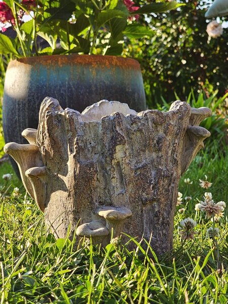 Hnedý cementový kvetináč kmeň stromu s hubami Botanic M - 24*18*18 cm - Clayre & Eef