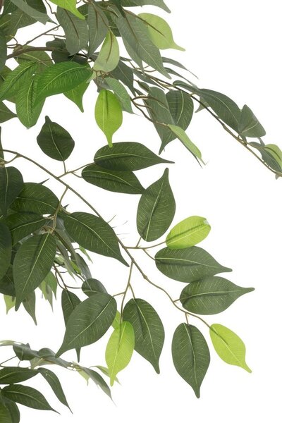 Dekorácia umelá rastlina fikus v kvetináči Ficus Tree - Ø 80*180 cm - J-Line by Jolipa