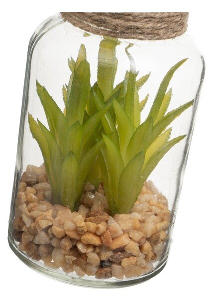 Umelé rastliny v súprave 4 ks (výška 12 cm) Cactus – Casa Selección