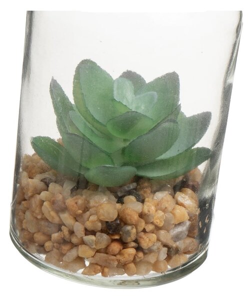 Umelé rastliny v súprave 4 ks (výška 12 cm) Cactus – Casa Selección