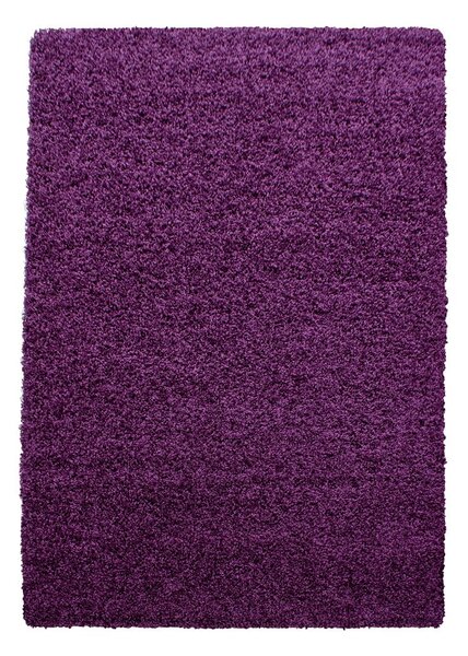 Tmavofialový koberec 120x170 cm Life – Ayyildiz Carpets