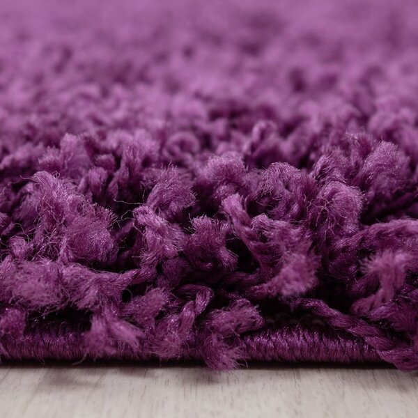 Tmavofialový koberec 120x170 cm Life – Ayyildiz Carpets