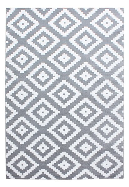 Svetlosivý koberec 160x230 cm Plus – Ayyildiz Carpets