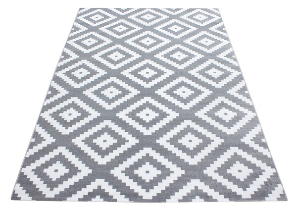 Svetlosivý koberec 160x230 cm Plus – Ayyildiz Carpets