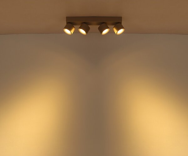 Globo 56961-4S LED bodové stropné svietidlo RAE | 6W integrovaný LED zdroj | 480lm | 3000K