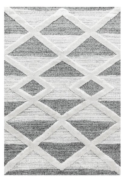 Sivý koberec 160x230 cm Pisa – Ayyildiz Carpets