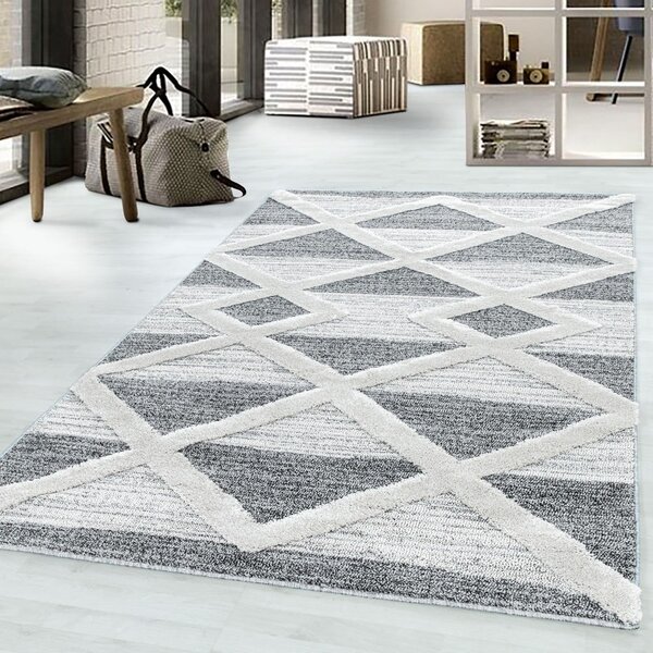 Sivý koberec 160x230 cm Pisa – Ayyildiz Carpets