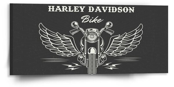 Sablio Obraz Harley-Davidson S krídlami - 110x50 cm