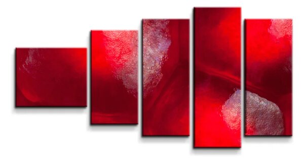 Sablio Obraz - 5-dílný Granátové jablko - 100x60 cm