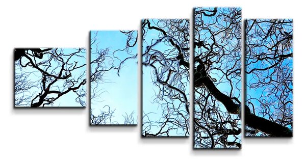 Sablio Obraz - 5-dílný Holé konáre - 100x60 cm