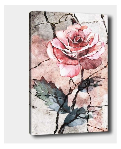 Nástenný obraz na plátne Tablo Center Rose, 40 × 60 cm