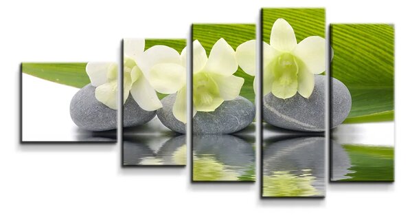 Sablio Obraz - 5-dílný Biela orchidea - 100x60 cm