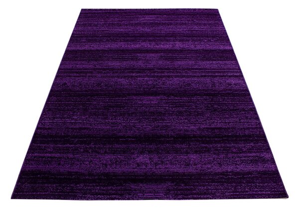 Tmavofialový koberec 160x230 cm Plus – Ayyildiz Carpets