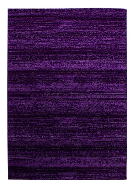 Tmavofialový koberec 160x230 cm Plus – Ayyildiz Carpets